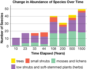 This is a stacked bar graph depicting Change in Abundance of Species Over Time. Number of Species is on the y-axis from 0–50, Time Elapsed (in years) is on the x-axis from 0–1500. The legend for this graph is purple = low shrubs and herbs, green = mosses and lichens, orange = small shrubs, yellow = trees. In the first two bars (10 and 23 years), purple is dominant, with a bit of green. The number of species remains below 20. In the next two bars (33 and 44 years), orange is added to the top. The number of species remains below 20. The next bar jumps ahead 50 years and there is now a bit of yellow added to the bar. The species count raises to 40, with the greatest increase happening in the green. The next bar jumps ahead another 100 years. There is still yellow at the top of the bar. The orange and purple sections have decreased and the species count is just above 30. In the final two bars (500 and 1500 years), yellow remains at the top and increases slightly. The purple section shows an increase, which increases the overall species number to between 40 and 50.