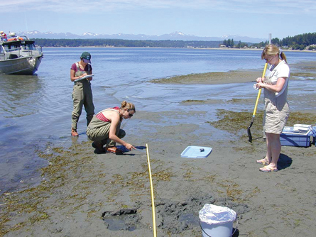 Biologists are counting and recording information along a transect line on a mountain lake’s shoreline.