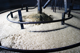 This vat of fermenting sugar cane is used to produce ethanol.