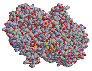 This is a  three-D rendering of the enzyme catalase.
