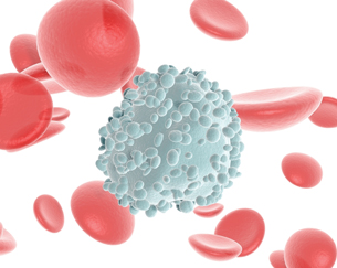 This is a three-D image of red-coloured discs called red blood cells. A white-coloured sphere with a rough surface indicates a white blood cell. There are more red blood cells than white blood cells in the photo.