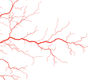 This photo is of capillaries isolated on a white background.
