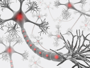 A diagram shows a three-dimensional space filled with many nerve cells.