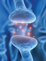 An illustration of a synapse. Shiny spheres, representing neurotransmitters, are shown in the synapse.