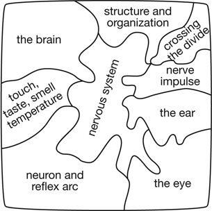 A diagram shows the following components as pieces of jigsaw puzzle: the brain, structure and organization, crossing the divide, nervous system, nerve impulse, the ear, the eye, neuron and reflex arc, touch, taste, smell, and temperature.