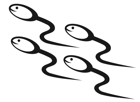 4 sperm cells, with one eye and half smile on each cell swimming in the same direction