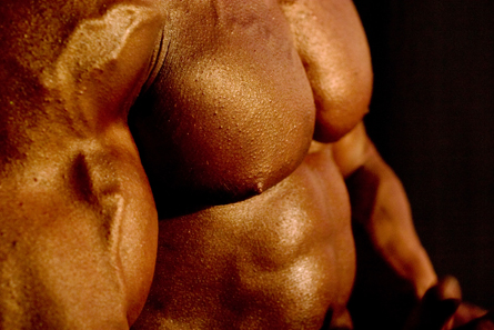 This photo shows the significant muscle development in a mature male.