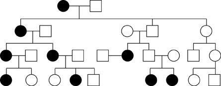 This image shows a pedigree.