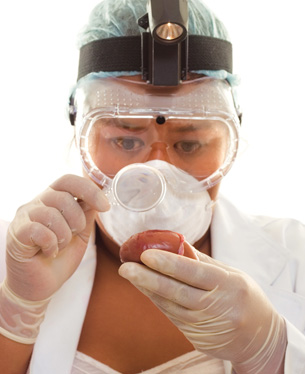This technician is examining a kidney.