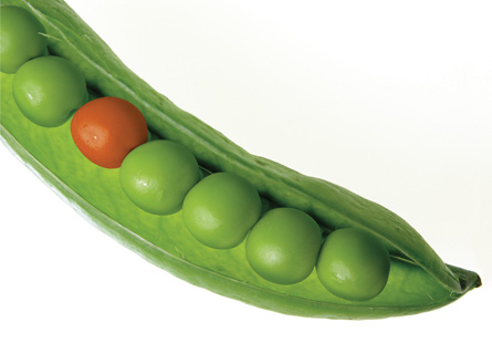 An image shows a red pea in a pod filled with green peas.