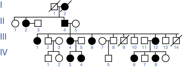 This pedigree shows four generations. In the parent generation, the male is older, deceased, and doesn’t express the trait. The female expresses the trait. In the second generation, the parents have a daughter without the trait, a daughter with the trait, who mates with a male without the trait, and a son with the trait, who mates with a female without the trait. In the third generation, the second generation male expressing the trait who mated with a female without the trait produced a female with the trait, a male without the trait who mates with a female without the trait, a female with the trait who mates with a males without the trait, a female with the trait, a male without the trait who mates with a female without the trait, a male who is deceased, a male without the trait, a female with the trait who mates with a male with the trait, a female without the trait, and a female without the trait who is deceased. In the fourth generation, the third generation male without the trait who mated with a female without the trait produced a male and a female without the trait. The third generation female with the trait who mated with a male without the trait produce two females, both with the trait. The third generation male without the trait who mated with a female without the trait produced a son without the trait. The second generation female with the trait, who mated with a male without the trait, produced a female with the trait, a male without the trait, a female with the trait, and a female without the trait.
