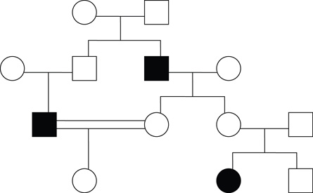 A pedigree shows the occurence of Familial Mediterranean Fever in one family. 