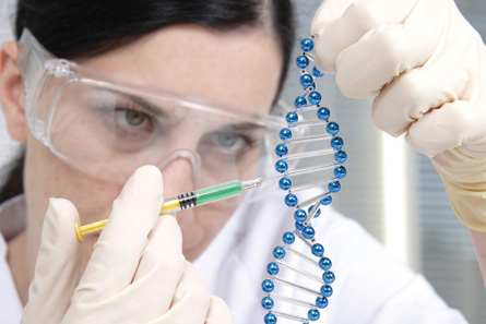 The photo shows a scientist working with a model of DNA helix.