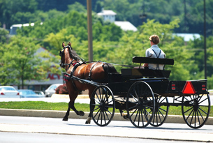 The photo shows a teenager driving an Amish buggy.