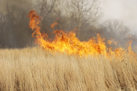 The photo shows a prairie fire.