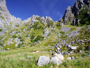 The photo shows grass-covered rocks in a mountainous area. It is an example of early succession after a rock slide. 