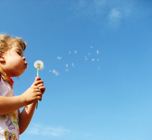 This photo shows a young child blowing the seeds off a dandelion.