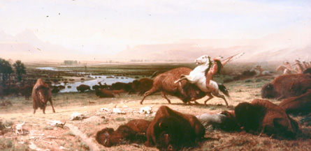 A painting showing a buffalo hunt  as traditionally done by First Nations, where buffalo were killed by male hunters using spears.