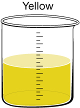 A diagram shows a half-filled beaker containing a yellow solution.