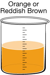A diagram shows a half-filled beaker containing an orange solution.