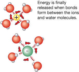 The diagram shows a single green sphere surrounded by many water molecules. Dotted lines are shown between the yellow sphere and the water molecules.  At the other side of the diagram, a single yellow sphere is surrounded by water molecules. The diagram label reads: Energy is finally released when bonds form between the ions and water molecules.