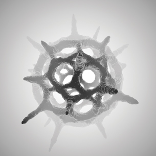 A photomicrograph of plankton. The organism appears as a hollow sphere with spikes that extend from its surface.