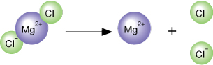 A diagram depicts the dissociation of magnesium chloride. On the left of the arrow one purple sphere labelled Mg 2 plus is joined to two green spheres each labeled Cl minus. On the right side of the arrow the purple sphere is shown alone separated by the plus sign and the two separated green spheres.