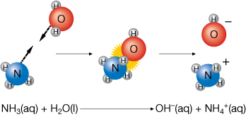 A diagram shows colliding water molecules and ammonia, NH3, molecules. The product of the reaction shown is an ammonium ion and a hydroxide ion. The hydroxide ion appears as a water molecule less one of its hydrogen atoms.