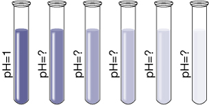 A drawing shows six identical test tubes. The first tube is labeled pH = 1, and the solution within the tube appears dark blue. The remaining tubes are each labeled pH = ? The colour of the solution in each of the remaining tubes is sequentially fainter, with the solution in the sixth tube appearing to have no colour.