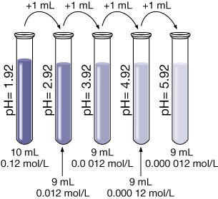 A drawing shows five identical test tubes. The first tube is labeled pH 1.92 and contains 10 mL of a 0.12 mol/L hydronium ions. The solution within the tube is coloured dark blue. An arrow above the first tube indicates that one mL of the solution from the first tube is transferred to the second tube. The second tube is labeled pH 2.92 and contains 9 mL of a 0.012 mol/L hydronium ions. The solution in the second tube is a slightly fainter blue colour. An arrow above the second tube indicates that one mL of the solution from the second tube is transferred to the third tube. The third tube is labeled pH 3.92 and contains 9 mL of a 0.0012 mol/L hydronium ions. The blue colour of the solution in the third tube is slightly fainter than the solution in the preceding tube. An arrow above the third tube indicates that one mL of the solution from the third tube is transferred to the fourth tube. The fourth tube is labeled pH 4.92 and contains 9 mL of a 0.00012 mol/L hydronium ions. The blue colour of the solution in the fourth tube is slightly fainter than the solution in the preceding tube. An arrow above the fourth tube indicates that one mL of the solution from the fourth tube is transferred to the fifth tube. The fifth tube is labeled pH 5.92 and contains 10 mL of a 0.000012 mol/L hydronium ions. The blue colour of the solution in the fifth tube is slightly fainter than the solution in the preceding tube.