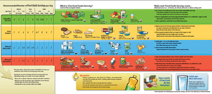 The Canada Food Guide is shown. Foods are categorized under the following headings: Vegetables and Fruit, Grain Products, Milk and Alternatives, and Meat and Alternatives. Columns on the table list the number of suggested servings of each food group for children, teens, and adults. There are diagrams of examples of foods within each category. 