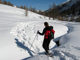 A photograph shows a woman snowshoeing in a mountain meadow.