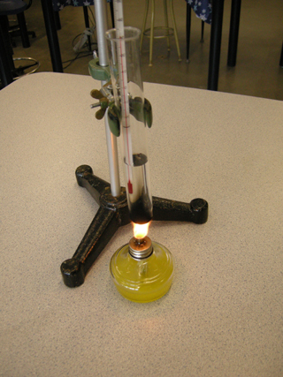 Photo 16: This photograph shows the test tube in the test-tube clamp. A thermometer is in the test tube and a spirit burner filled with biodiesel is beneath it. 