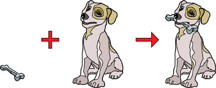 A graphic shows a bone, an addition symbol, and a dog followed by an arrow and a dog with a bone in the dog's mouth.
