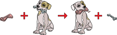 A graphic shows a steak, an addition symbol, and a dog with a bone in the dog's mouth followed by an arrow, a dog with a steak in the dog's mouth, an addition symbol, and a bone.