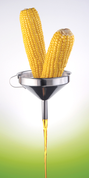 An image shows two cobs of corn standing in a metal funnel. A gold-coloured liquid is flowing out of the narrow end of the funnel.