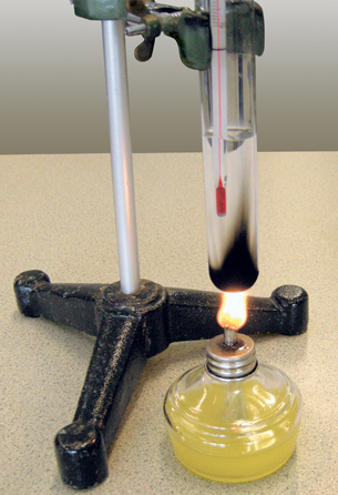 A photograph shows a spirit burner heating water in a test tube. The spirit burner contains a yellow liquid, biodiesel, made in a student laboratory experiment.