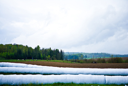 A photograph shows a farm with exposed soil and rain clouds on the horizon.
