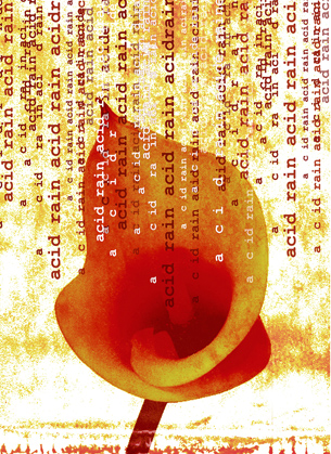 A graphic image shows a blossoming flower. Above the flower is a series of lines of text extending downward from the top of the page. Each line of text states “acid rain.” The collection of lines of text looks like rain falling down on the flower.