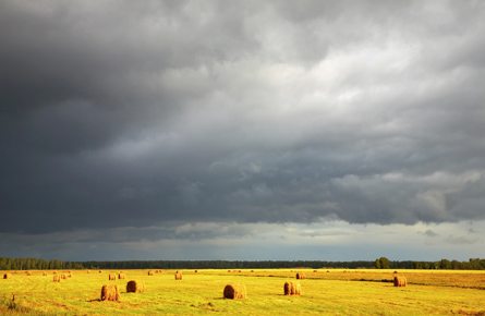 A photograph shows a large field with circular bales of straw. Above the field is a sky full of dark grey rain clouds.