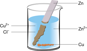 A diagram shows a beaker containing a blue solution labelled Cu2+(aq) and Cl-(aq) and a metal strip labelled Zn(s). The portion of the metal strip that is immersed in the solution appears different from the upper part of the strip, which is not immersed in the solution. The upper part of the strip has a silver colour, is shiny, and is intact. The lower portion appears green and to be losing its rectangular shape. Some reddish-brown precipitate, labelled Cu(s), is at the bottom of the flask. The solution also contains Zn2+(aq). 