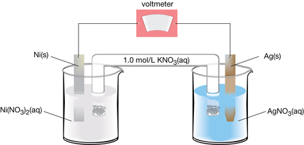 A diagram shows 2 beakers, each containing a solution and a metal strip. The separate ends of a glass U-shaped tube filled with 1.0 mol/L potassium nitrate are placed in each of the beakers. Each of the metal strips is connected to a voltmeter with an electrical wire. The beaker on the left contains Ni(s) and Ni(NO3)2(aq). The beaker on the right contains Ag(s) and AgNO3(aq).