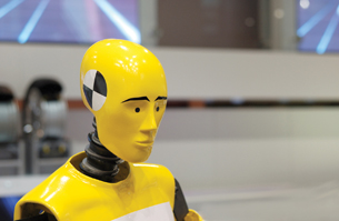 Image of a crash test dummy’s shoulders, neck and head.