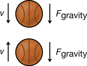 A picture shows two basketballs about to collide. The picture includes velocity vector arrows and force of gravity vector arrows.