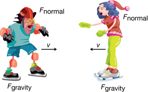 A picture shows two skaters about to collide and their velocity vector arrows. The picture also includes the force of gravity vector and force normal vector arrows cancelling out to give no net force on either skater.