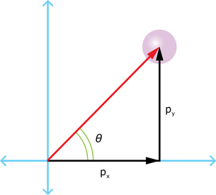 An illustration shows the x and y components of a diagonal momentum vector going up to the right.