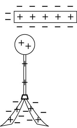 The illustration shows the knob, rod and leaves of an electroscope in the presence of a negative object.