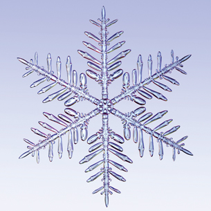 An extreme close up of a snowflake is shown.