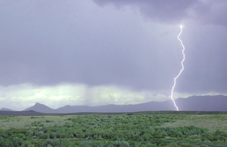 The photo shows lightning striking an arid, prairie landscape.