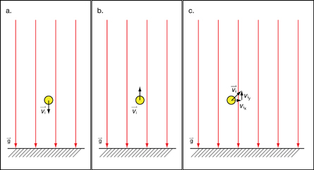 There are three illustrations. The illustration on the left shows the softball with an initial velocity straight down. The centre illustration shows the softball with an initial velocity straight up. The illustration on the right shows the softball with an initial velocity at an angle.